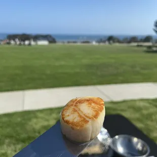 Scallops by the sea
