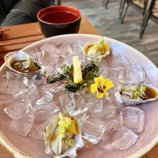 Fresh Oysters