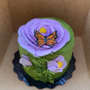 Lunch box cake