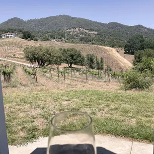 a glass of wine in the foreground