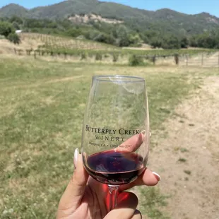 a hand holding a wine glass