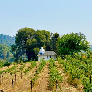 Beautiful drive on a dirt road there....