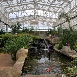 Inside the butterfly home.