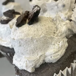 chocolate cupcakes with white frosting