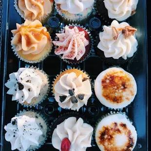 Mini dozen!