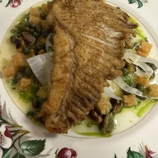 Skate Wing