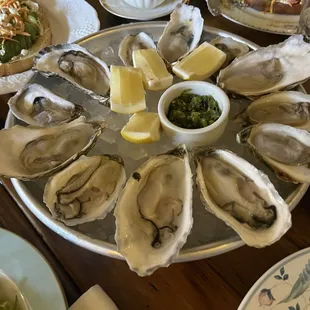 Oysters