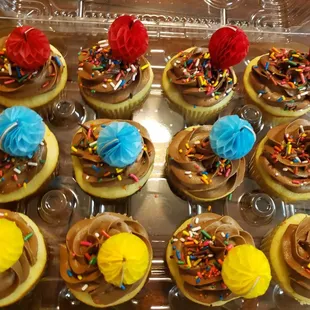 Vanilla cupcakes chocolate icing