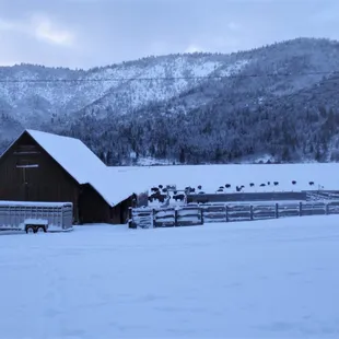 Being so remote sure gives us some beautiful, quiet mornings, especially in the winter.