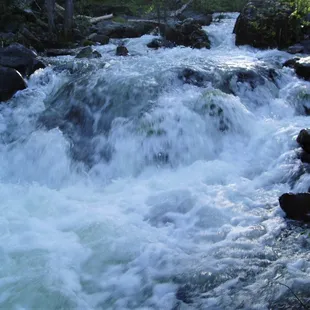 Our pure mountain spring  is at the top of the aquifer, providing both us and our animals the best water available!