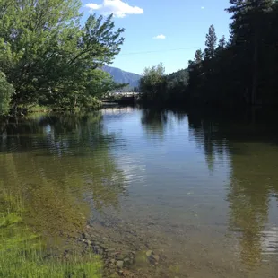 Regenerative ranching includes leaving some of the land to do its thing!