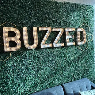 a couch in front of a green wall