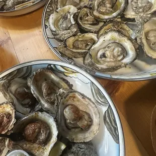 Charbroiled Oysters