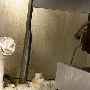 The dish tank