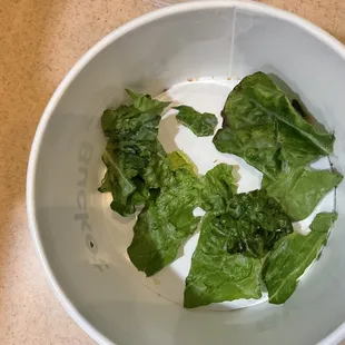 The lettuce is black and slimy.