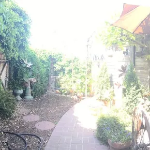 Outside (One of Two Outdoor Sections)