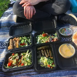 We ordered several appetizers for a picnic: Stuffed Cabbage, Falafel, Tabbouleh, Baked Kebbeh, Grape Leaves, and Hummus