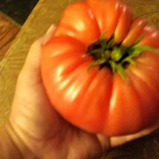 Janet F.