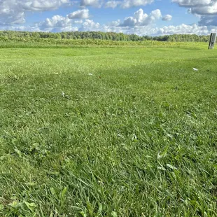 Open field directly outside of the building