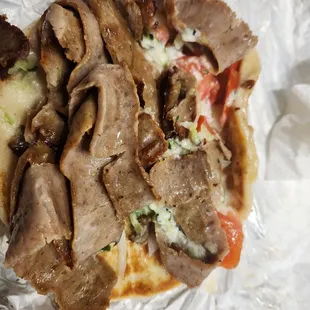 Regular size Gyro