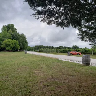 Outside at beautiful Byrd Cellars in Goochland, VA!