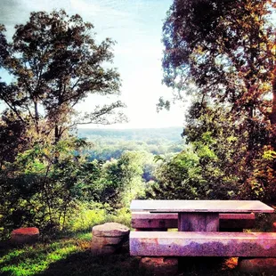 Perfect picnic spot at the tasting room.