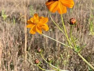 Fifty-Third Winery & Vineyard