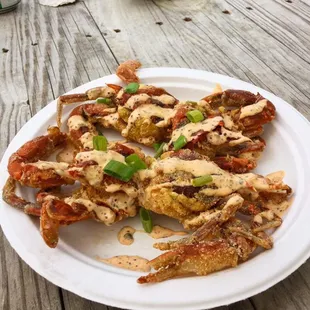 Soft Shell Crabs fresh out of the water when in season! May-October