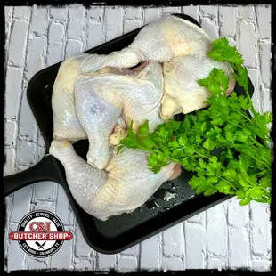 Fryer Chickens