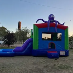 Octpus themed water slide ready fir your party