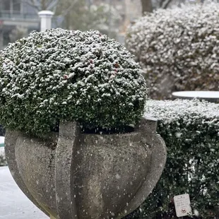 Outside the cafe during a snow storm