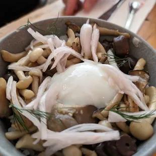 mushroom bibimbap ($16)