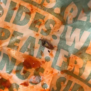 a piece of pizza on a piece of paper