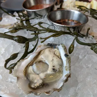 Kumamoto Oyster