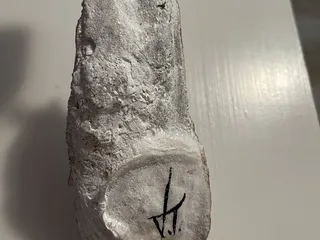 Creole Delicacies Gourmet Shop