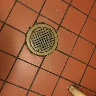 The smell in the bathroom was awful. I think it's coming up from this drain.