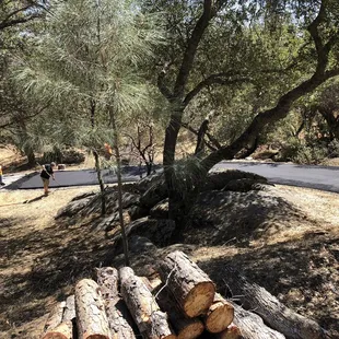 a group of people working on a road