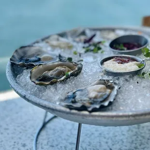 Oysters on the Half Shell