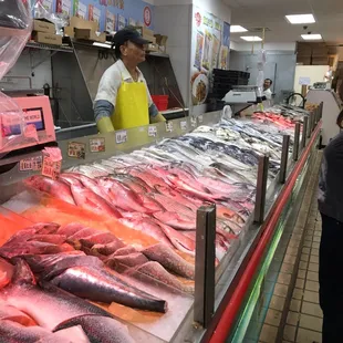 a man and a woman standing in front of a display of fish