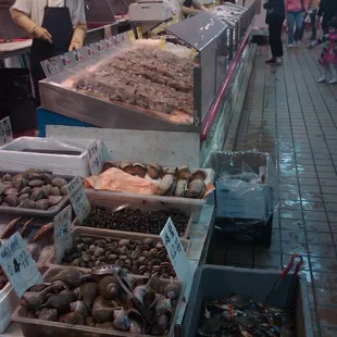 Fresh, Live Seafood