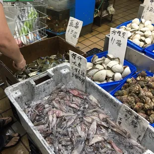 a woman sorting fish in a bin