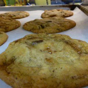 Toffee Chocolate Chunk Cookies