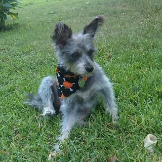Yolanda H.