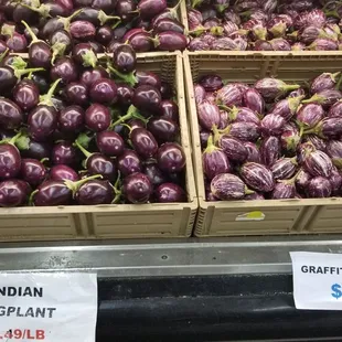 eggplant for sale