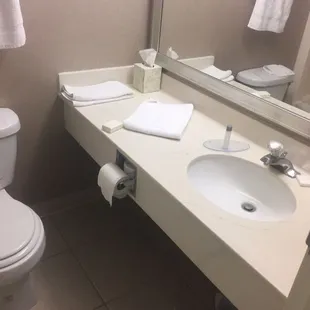 Large bathroom counter