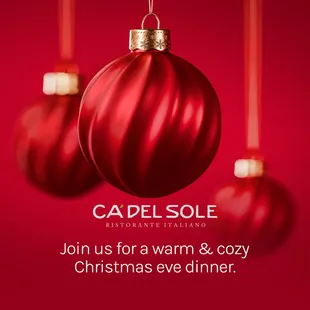 CA&apos; DEL SOLE DECEMBER 24TH : ENJOY A WARM &amp; COZY XMAS EVE DINNER