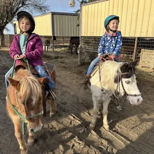 Camp kiddos on some of our ponies