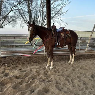 Mizzy during her work out