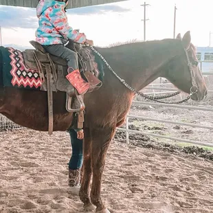 Private riding lesson on lesson horse Rosie