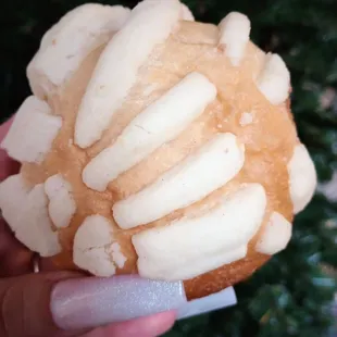 Fresh conchas Daily! 10/10